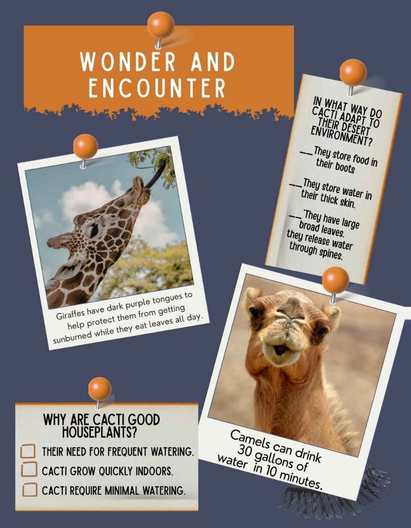 Fact Checked - Desert facts sample page
